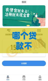 哪个贷款不看征信下款快？5种正规渠道和避坑指南