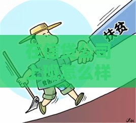 在信贷公司上班怎么样？真实工作体验与贷款行业职业发展分析