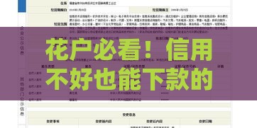 花户必看！信用不好也能下款的平台盘点及申请技巧