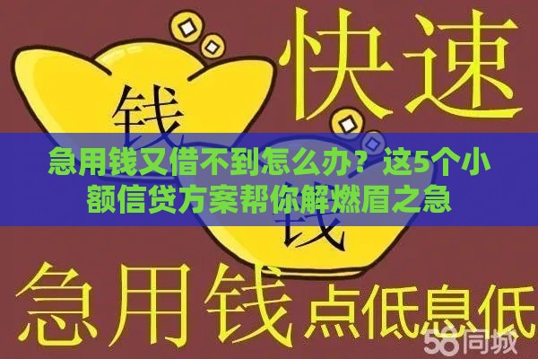 急用钱又借不到怎么办？这5个小额信贷方案帮你解燃眉之急