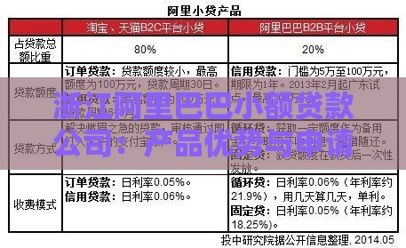 浙江阿里巴巴小额贷款公司：产品优势与申请流程详解