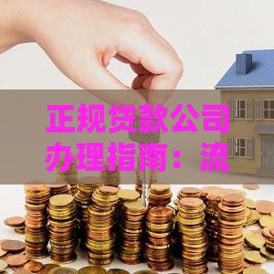 正规贷款公司办理指南：流程、材料、注意事项全解析