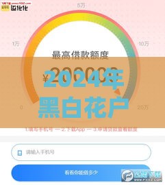 2024年黑白花户必过的正规贷款平台推荐及申请攻略