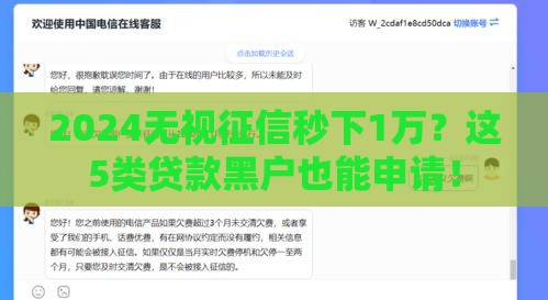 2024无视征信秒下1万？这5类贷款黑户也能申请！