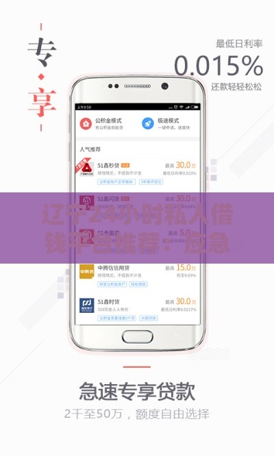 辽宁24小时私人借钱平台推荐：应急周转必看攻略