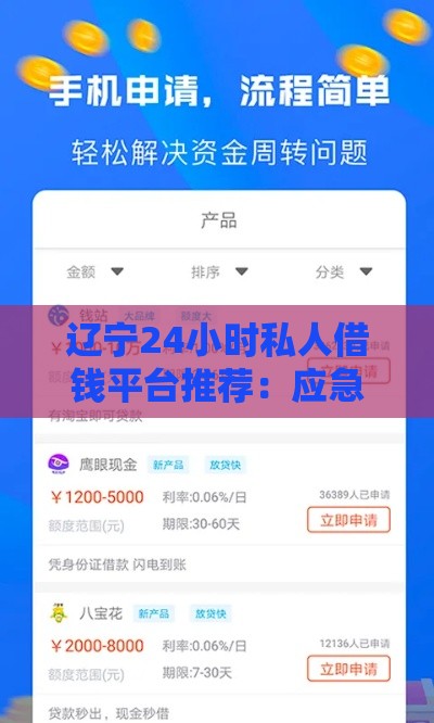 辽宁24小时私人借钱平台推荐：应急周转必看攻略