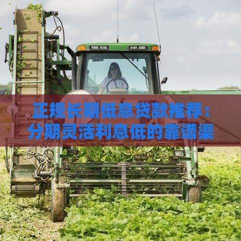 正规长期低息贷款推荐：分期灵活利息低的靠谱渠道