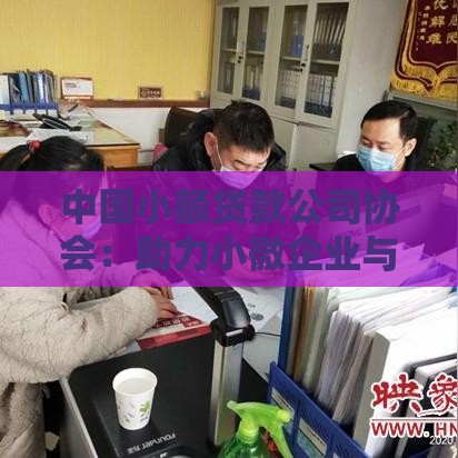 中国小额贷款公司协会:助力小微企业与个人贷款的核心平台 中国小额贷款公司协会:助力小微企业与个人贷款的核心平台
