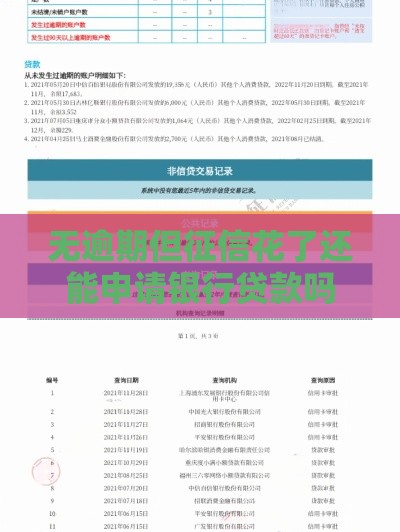 无逾期但征信花了还能申请银行贷款吗？关键解析