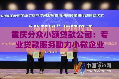 重庆分众小额贷款公司：专业贷款服务助力小微企业与个人融资