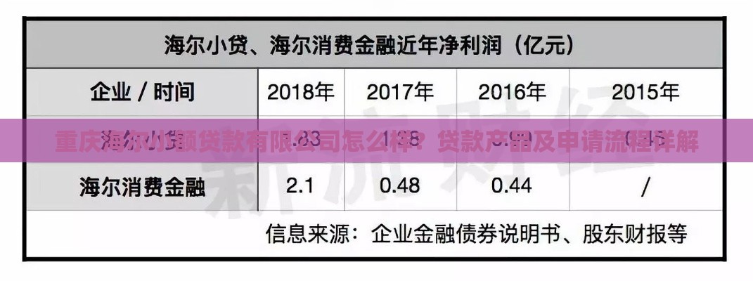 重庆海尔小额贷款有限公司怎么样？贷款产品及申请流程详解