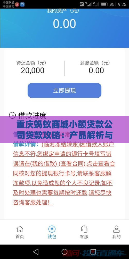 重庆蚂蚁商城小额贷款公司贷款攻略：产品解析与申请指南