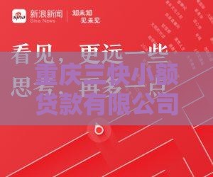 重庆三快小额贷款有限公司：专业小额贷款服务解析
