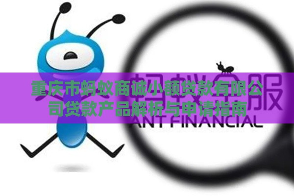 重庆市蚂蚁商诚小额贷款有限公司贷款产品解析与申请指南