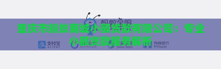 重庆市蚂蚁商城小额贷款有限公司：专业小额贷款服务解析