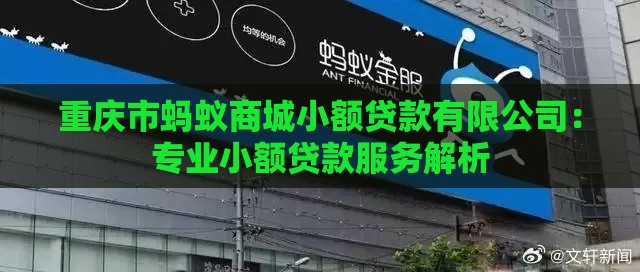 重庆市蚂蚁商城小额贷款有限公司：专业小额贷款服务解析