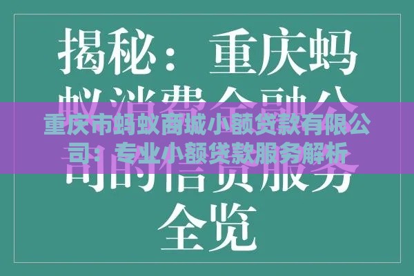 重庆市蚂蚁商城小额贷款有限公司：专业小额贷款服务解析