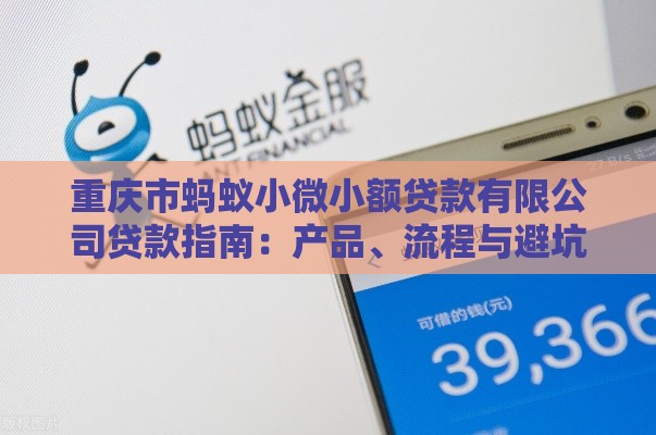 重庆市蚂蚁小微小额贷款有限公司贷款指南：产品、流程与避坑指南