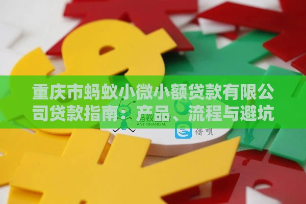 重庆市蚂蚁小微小额贷款有限公司贷款指南：产品、流程与避坑指南