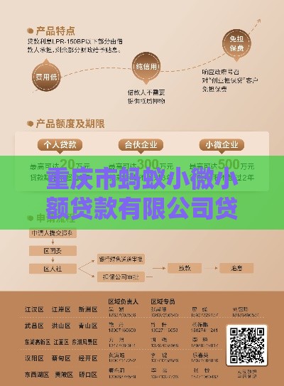 重庆市蚂蚁小微小额贷款有限公司贷款指南：产品、流程与避坑指南