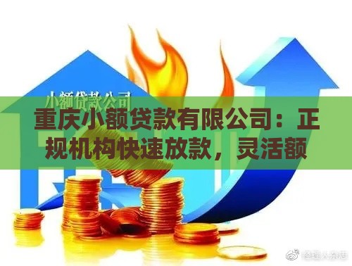 重庆小额贷款有限公司：正规机构快速放款，灵活额度满足需求