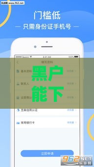 黑户能下款的小额贷款平台真实存在吗？深度解析避坑指南