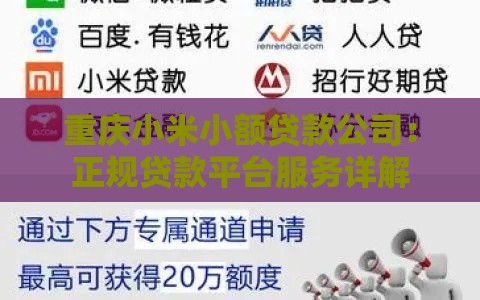重庆小米小额贷款公司：正规贷款平台服务详解