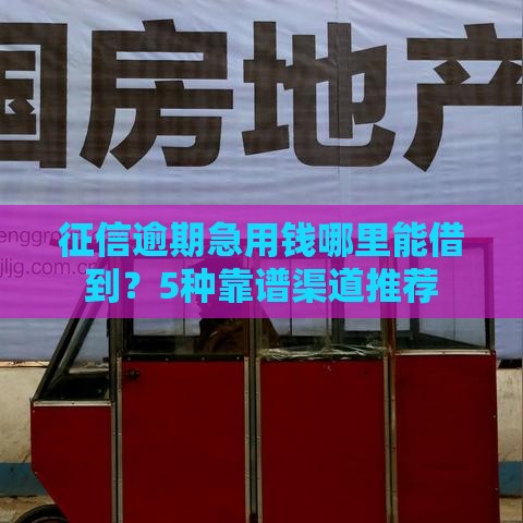 征信逾期急用钱哪里能借到？5种靠谱渠道推荐