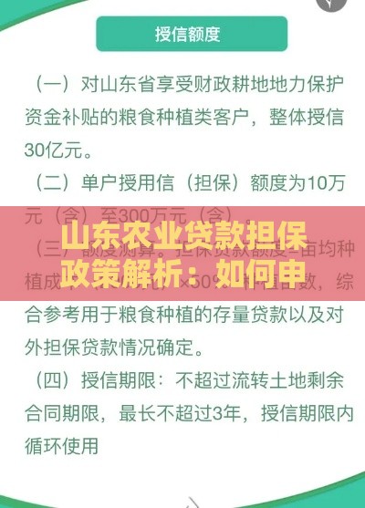 山东农业贷款担保政策解析：如何申请及优势解读