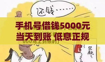 手机号借钱5000元当天到账 低息正规平台申请攻略