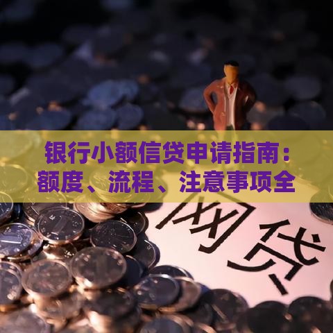 银行小额信贷申请指南：额度、流程、注意事项全解析