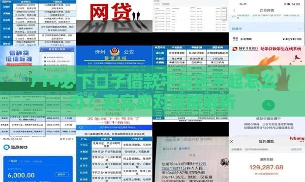 714必下口子借款平台还不起怎么办？真实应对策略解析