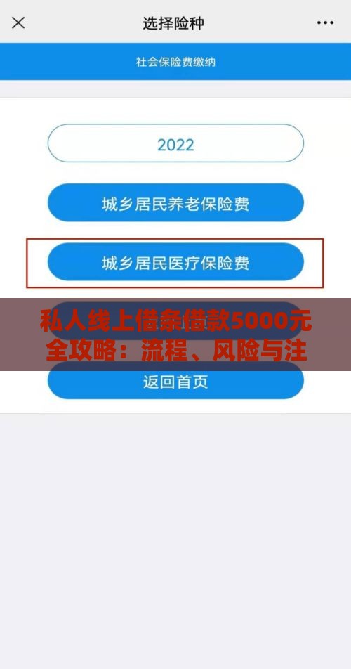 私人线上借条借款5000元全攻略：流程、风险与注意事项