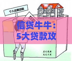 信贷牛牛：5大贷款攻略，助你轻松避坑不上当