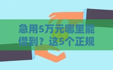 急用5万元哪里能借到？这5个正规平台快速到账