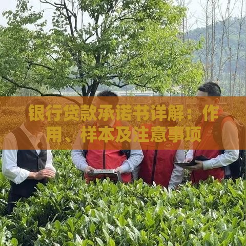 银行贷款承诺书详解：作用、样本及注意事项