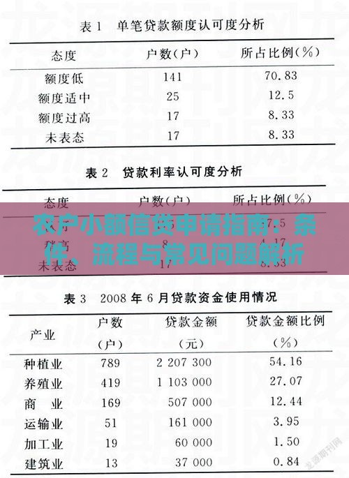 农户小额信贷申请指南：条件、流程与常见问题解析
