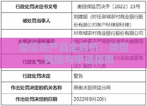 类信贷产品全解析：类型、风险与申请指南