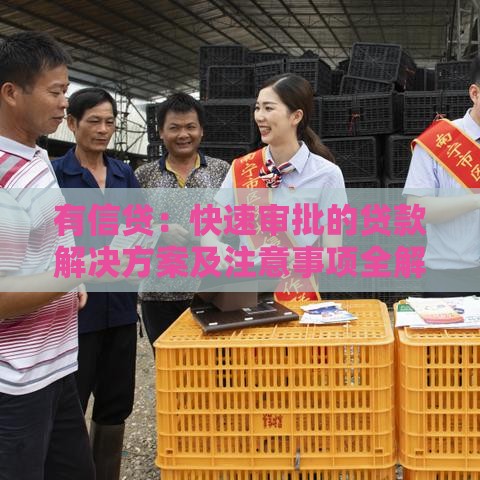 有信贷：快速审批的贷款解决方案及注意事项全解析