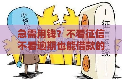 急需用钱？不看征信不看逾期也能借款的5种方式