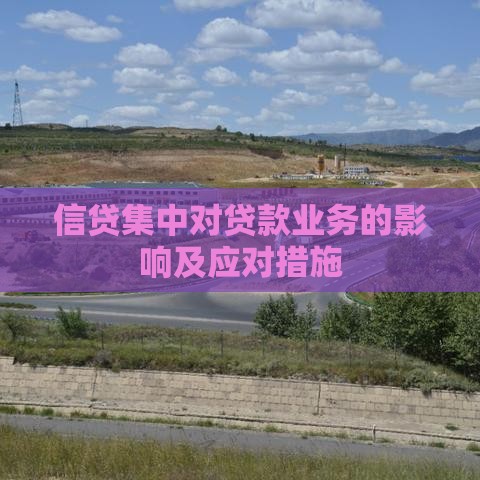 信贷集中对贷款业务的影响及应对措施