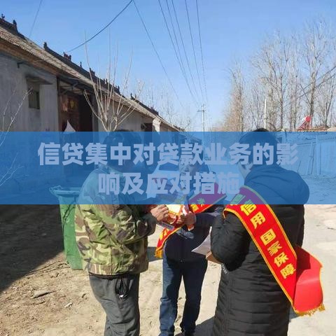 信贷集中对贷款业务的影响及应对措施