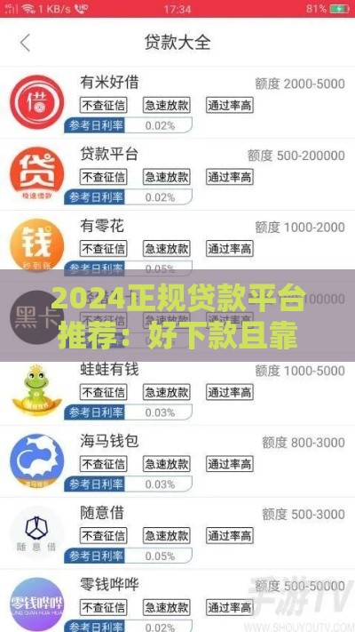 2024正规贷款平台推荐：好下款且靠谱的借款渠道