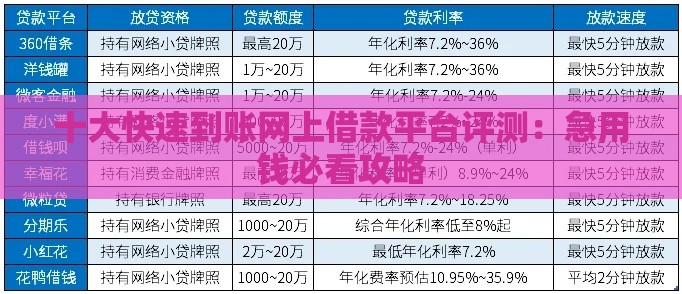 十大快速到账网上借款平台评测：急用钱必看攻略