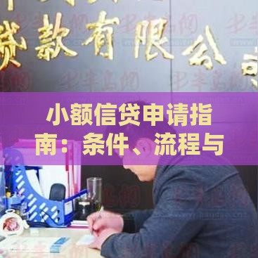 小额信贷申请指南：条件、流程与注意事项