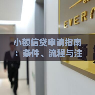 小额信贷申请指南：条件、流程与注意事项