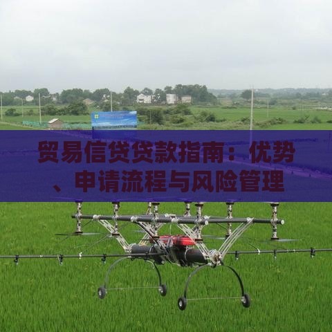 贸易信贷贷款指南：优势、申请流程与风险管理