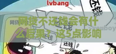 网贷不还钱会有什么后果？这5点影响你必须知道