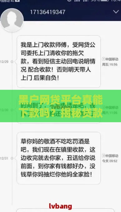 黑户网贷平台真能下款吗？揭秘贷款圈的真实内幕