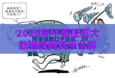2020年不看征信大数据的网贷平台解析与避坑指南